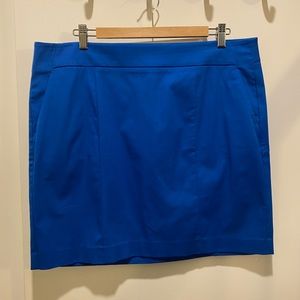 Ann Taylor Blue Madison Skirt Size 14